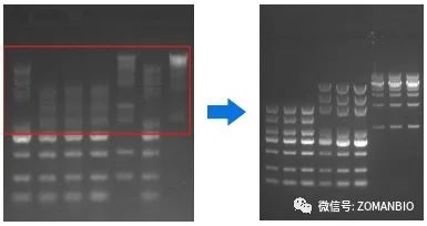 22.6 大marker分不開問題圖.jpg 圖片